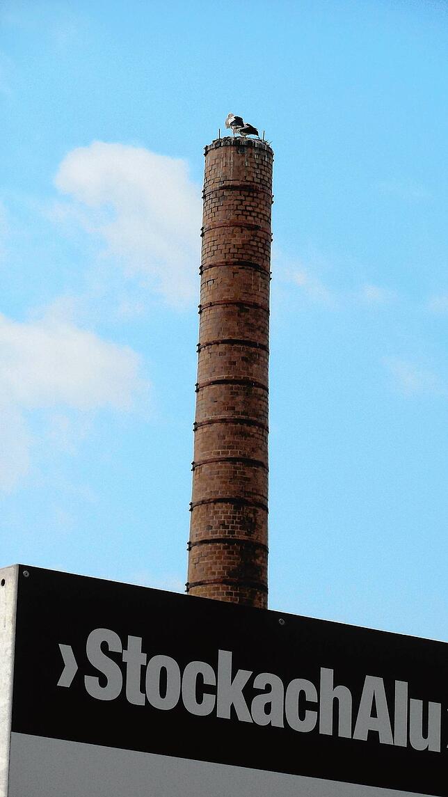 Die Vögel wohnen und wachen über den Gebäuden. &bdquo;Der Fabriklärm und die nächtliche Beleuchtung scheinen die Störche nicht zu ...