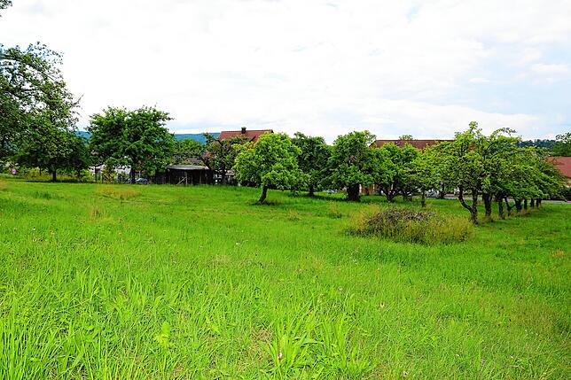 Das Gebiet Lachenäcker-Ost in Kluftern soll Bauland werden.