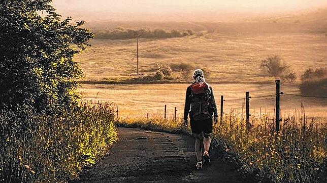 Eine Wanderin ist im frühherbstlichen Hotzenwald unterwegs. Über 91 Kilometer und sechs Etappen will der SÄK-Hotzen-Trek jetzt die ...