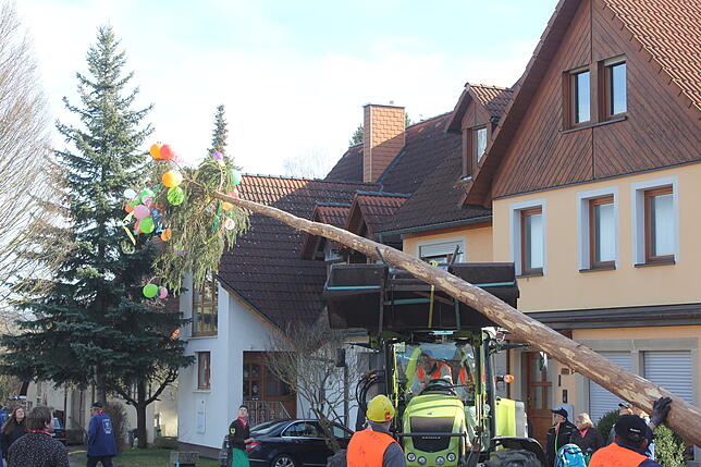 Vor dem „Löwen“ weist bis Fasnetsdienstag der Narrenbaum auf das närrische Geschehen hin.
