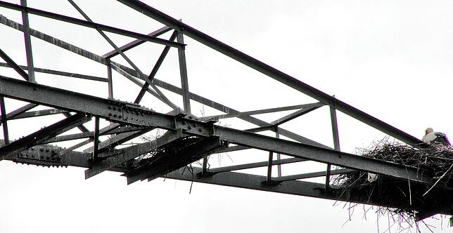 Inmitten der Stahlstreben hat ein Tier damit begonnen, ein weiteres Nest zu bauen. Ob das an dieser schwierigen Stelle klappt, bleibt ...
