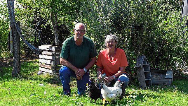 Markus und Daniela Thum kümmern sich gerne um die Bruderhähne, die sonst getötet würden, weil eine Aufzucht nicht wirtschaftlich wäre.