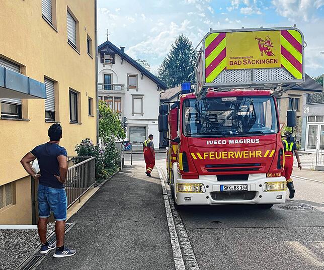 Mit der Drehleiter rückte die Feuerwehr zur Vogelrettung aus.