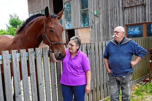 Noch stehen die Pferde auf dem Gelände von Annette und Heinz Feder. Am Sonntag, 9. Juni, werden hier über 30 alte Handwerksberufe gezeigt.