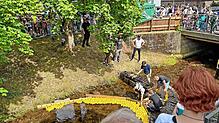 Hier hat alles seine Ordnung: Um festzustellen, welche Ente welchen Platz erreicht, erhalten die gelben Tierchen einen RFD-Tag. Fotos: ...