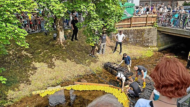 Hier hat alles seine Ordnung: Um festzustellen, welche Ente welchen Platz erreicht, erhalten die gelben Tierchen einen RFD-Tag. Fotos: ...