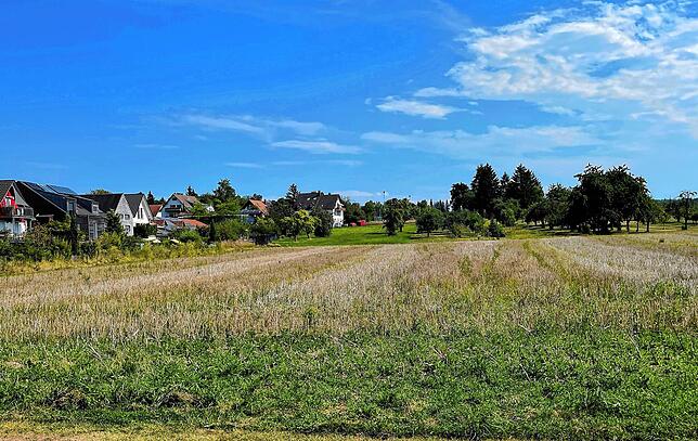 Auf diesem Feld soll im Rahmen des Handlungsprogramms Wohnen das Wohngebiet Steinrennen II entstehen. Die Bauplatzvergabe liegt noch in ...