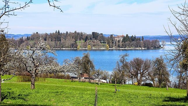 Die Insel Mainau GmbH will sich für die Zukunft aufstellen und das Palmenhaus in anderer Form an einer anderen Stelle erbauen. Der Idee ...