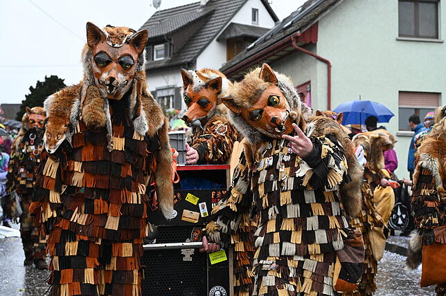 Bild 35: Die schönsten Bilder vom Fasnachtsumzug in Schwerzen: So feiern die Narren trotz Nieselregen