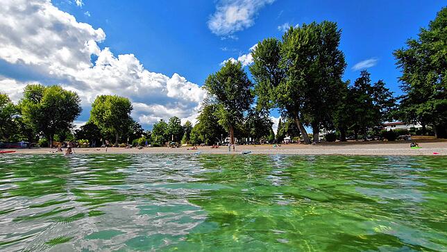 Warmes Wasser, meist gutes Wetter über Immenstaad: Darüber freute sich die Gäste im Sommer.