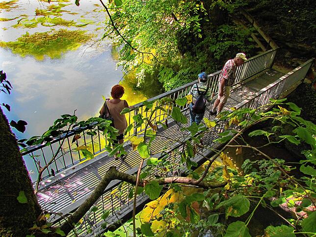 Unter dem Eisensteg quillt das Höhlenwasser als Aachquelle zutage. Es enthält rund 60 Prozent Donauanteil.