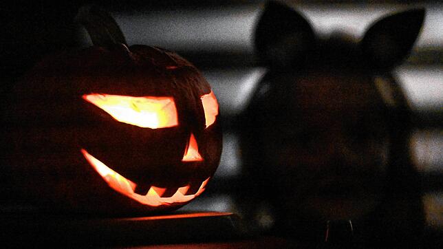Viele Meldungen von Vorkommnissen gingen bei der Polizei während Halloween ein. In der Regel blieben die Folgen überschaubar.