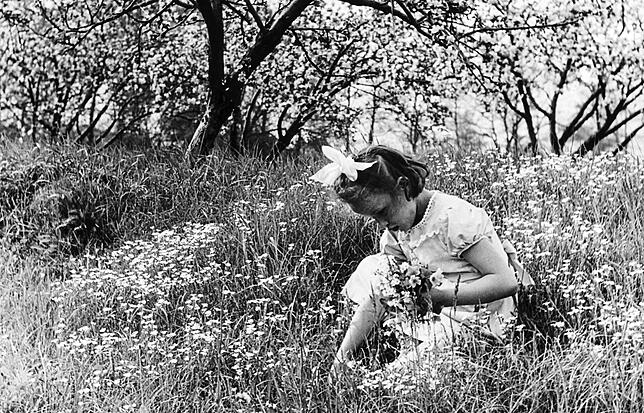 Ein Tag in der Geschichte: Vor 100 Jahren wurde erstmals der Muttertag begangen. Seither gilt es als nette Geste, der Mutter wie auf ...