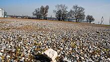 Eine Steinwüste: Noch dominiert auf Klein Venedig der Schotterplatz, den Festveranstalter nutzen. Hier und auf den anschließenden Wiesen ...