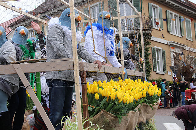 Taube müsste man in Markdorf sein. Die Stadtgärtnerei nimmt auf charmante Weise Bezug auf Markdorfs neue Luxus-Voliere.