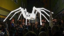 Eine XXL-Spinne krabbelt durch Ravensburg.