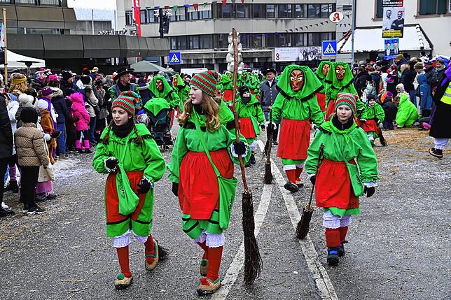 Bild 33: 75 Gruppen beim Fasnachtsumzug in St. Georgen: Wir haben die Bilder