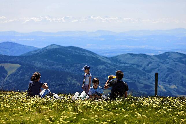 Ein Berg, viel Aussicht: Vom Belchen aus Richtung Süden sieht man bis in die Schweiz.