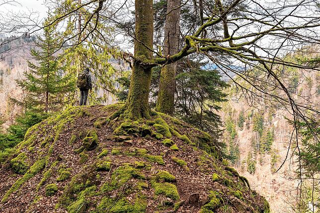Private Suchaktion: Nach wie vor wird regelmäßig nach der seit September 2020 im Südschwarzwald vermissten Wanderin Scarlett S. gesucht. ...
