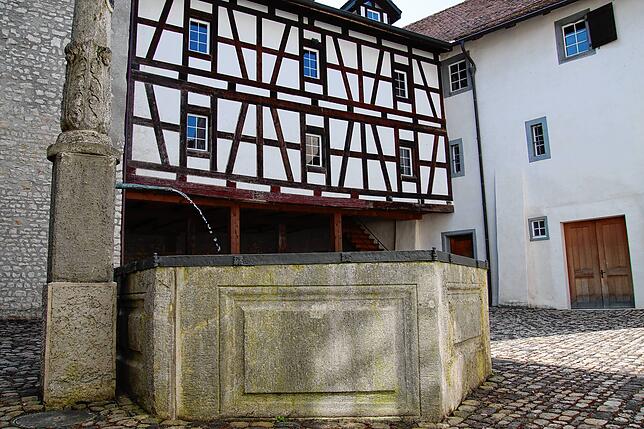 Bild 16: Schloss Wildenstein steht für 22,5 Millionen Franken zum Verkauf: So sieht es in dem Anwesen aus