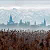 So schön kann Nebel von außen sein: Das Konstantzer Münster ragt aus dem Nebel über dem Bodensee heraus. Steckt man drin, wirkt aber ...