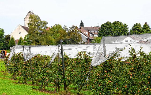 Fürs geplante Baugebiet Klosteröschle wünscht sich Uwe Achilles, dass dort die städtische Wohnbaugesellschaft beziehungsweise eine ...