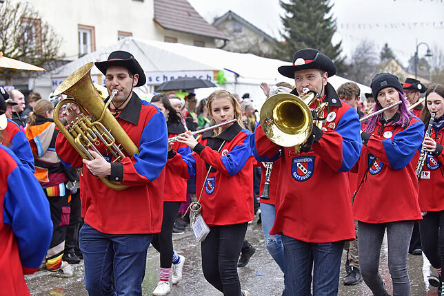 Bild 8: Bilder des großen Umzugs bei den Hattinger Narrentagen