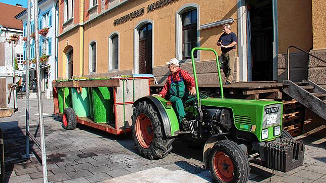 Die Anlieferung der Weinlese in der Meersburger Unterstadt ist eine Touristenattraktion. Der Winzerverein sieht sie aber immer mehr als ...