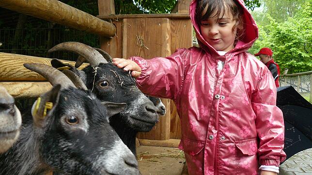 Bessere Zeiten: Der Haustierhof Reutemühle ist ein beliebtes Ziel für Familienausflüge. Besonders bei den jüngeren Besuchern sind die ...