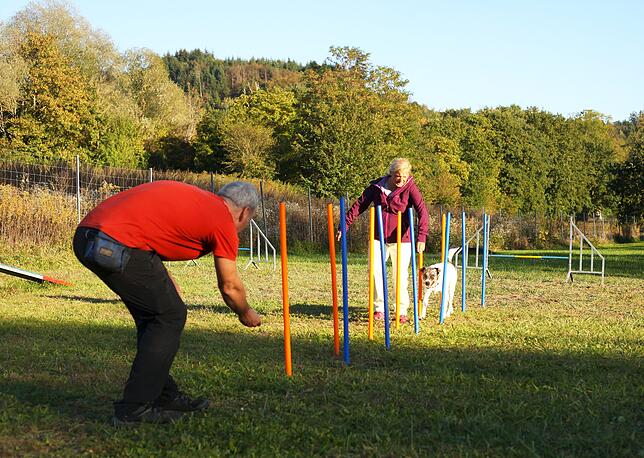 Bild 6: Gemeinsam in der Hundeschule: So üben Mensch und Tier zusammen auf dem Hindernisparcours