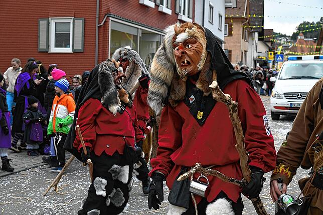Bild 13: Bilder vom Umzug am Fasnetsonntag in Tennenbronn
