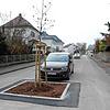 15 Bäume wurden im Zusammenhang mit der Ansiedlung von Amazon im Meßkircher Industriegebiet in der Dr.-Conrad-Gröber-Straße gepflanzt.