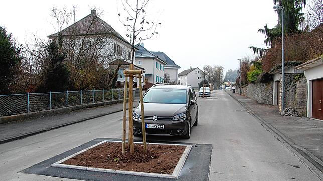 15 Bäume wurden im Zusammenhang mit der Ansiedlung von Amazon im Meßkircher Industriegebiet in der Dr.-Conrad-Gröber-Straße gepflanzt.