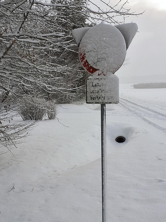 Bild 5: Winterimpressionen aus Villingen-Schwenningen und Umgebung