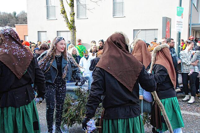 Bild 10: Bilder vom Umzug der Froschzunft Wutöschingen &ndash; Teil 3